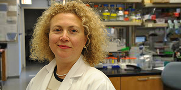 Dr. P. Hande Ozdinler