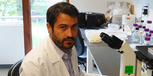 Kiskinis Lab